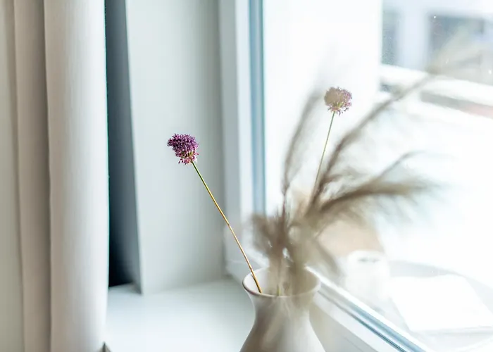 דירה Meermarie Whg 7 ווסטרלנד